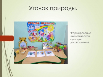 Группы нашего детского сада
