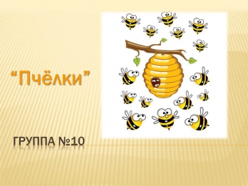 группа Пчелки_1